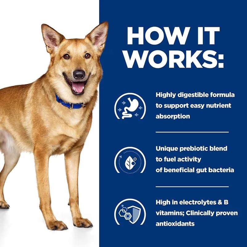 Diet Canine i/d Digestive Care Adult Wet Food for Dogs