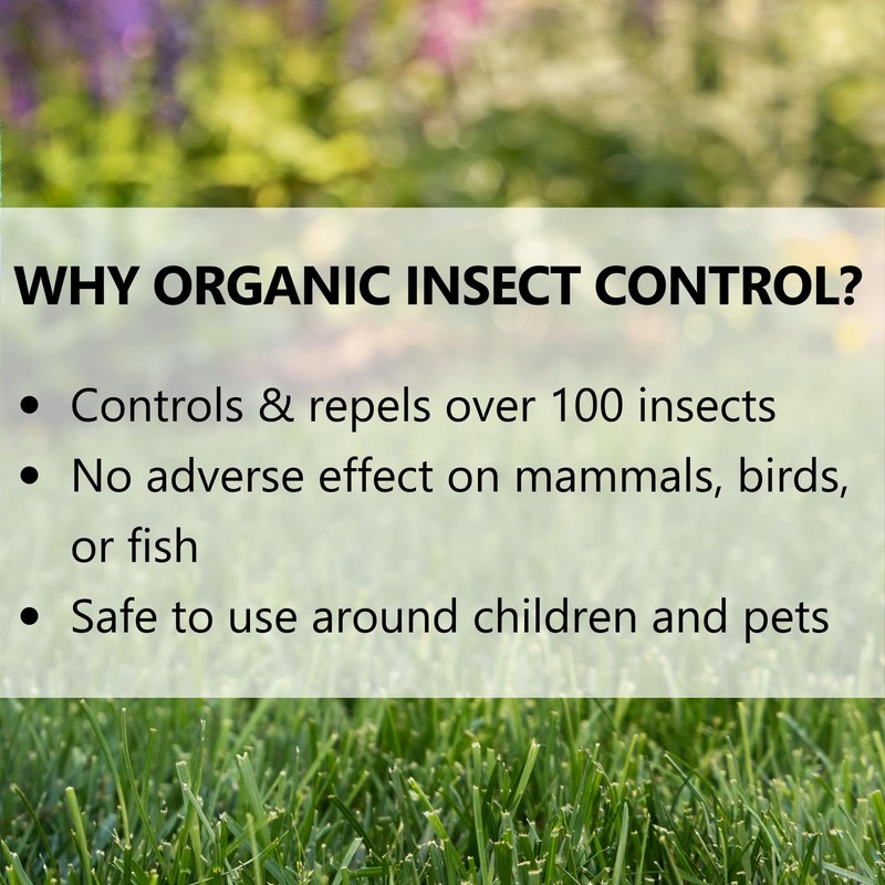 Jonathan Green (12202) Organic Insect Control For Lawns & Gardens