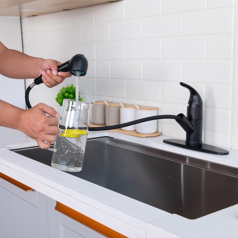 Matte Black Kitchen Faucet with Pull Out Sprayer, Small Single