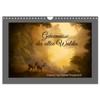 Secrets of the Old Forest (Wall Calendar 2026 DIN A4