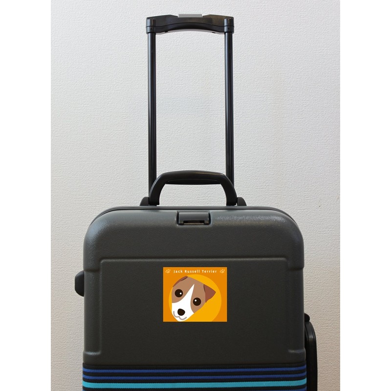 Stare Jack Russell Terrier Smooth Dog Sticker Orange Back MK-2