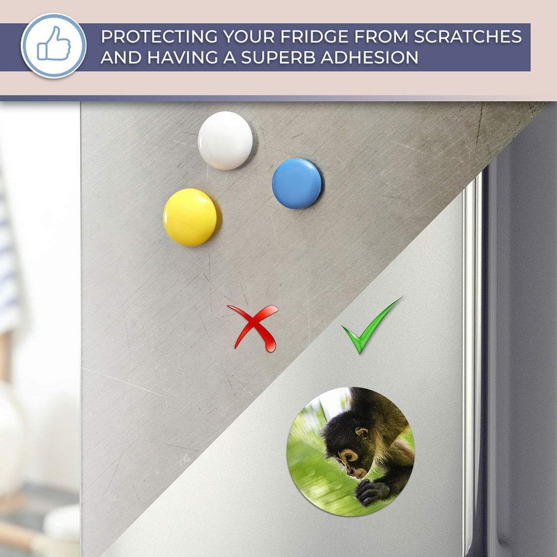 Destination Vinyl ltd Magnet for Refrigerator, Fridge - Cute Spider
