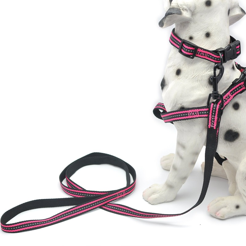 Mile High Life | Reflective Dog Collar Leash Set |