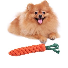 Puppy Chew Toy,Hamster Cat Dog Toys Carrot Pet Rope Chew Toys Pet Teeth Cleaning Chewing Biting Dog Toys Teething Molar Accessory (Carrot)