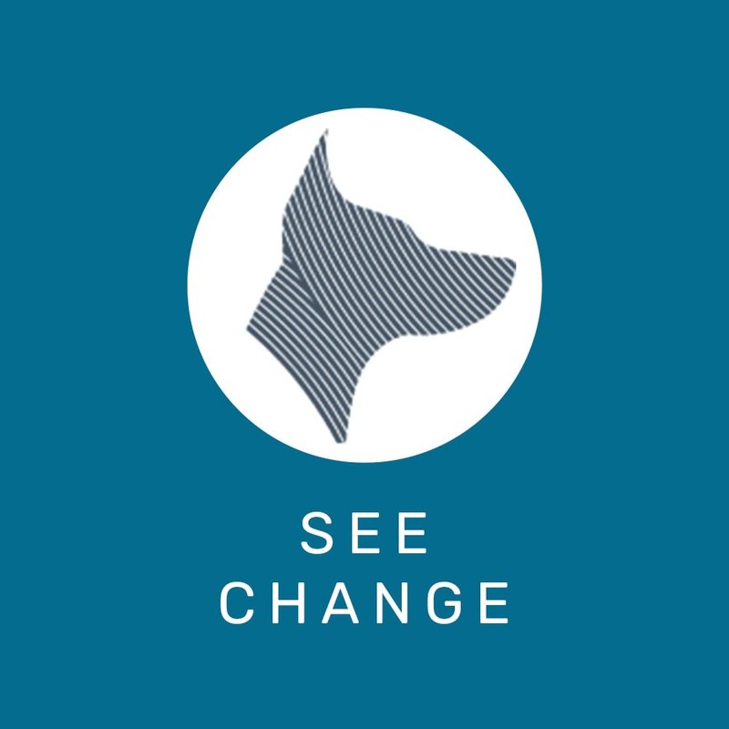 See Change Original Dog Shampoo Bar, 230g