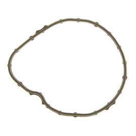 Gasket, thermostat