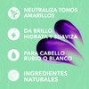 HIDRACOLOR Hidra Matiz Shampoo Neutraliza Tonos, Matiza Cabello Rubio 500ml