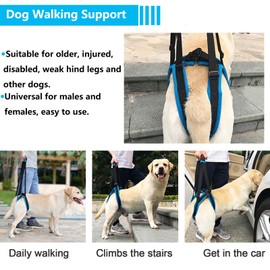 MIGHTYDUTY Dog Lifting Harness for Rear Leg Adjustable Dog Support Slings Pet Aid Assist with Lift Handle for Elderly Sick Injured Disabled Dogs Walk M
