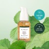 Chamos Cica soothing ampoule Noni ampoule Sensitive trouble soothing spot
