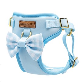 Furfect City Step in Dog Harness, No Pull No Choke, Durable Polyester Breathable mesh, Adjustable Strap, Quick Release Gold Hardware Metal Buckle, Soft Edges for Comfort (Blue, Small)