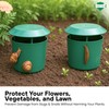 ADEPTNA ECO FRIENDLY NON-TOXIC PLASTIC SLUG AND SNAIL TRAP –