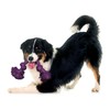Playology Rope Toys for Dogs | Tug of War Dog