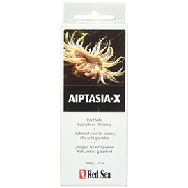 Red Sea Aiptasia-X 60ml - Aiptasia Treatment for Marine Aquariums with Applicator - Reef Safe - Kills Adult & Larvae - 0.1kg