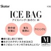 Skater ICB2-A Ice Bag, M, Moomin, Anime, 8.3 inches (21