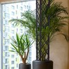 Plug in Small Flower Screen Flower Stand Climbing Vine Stand