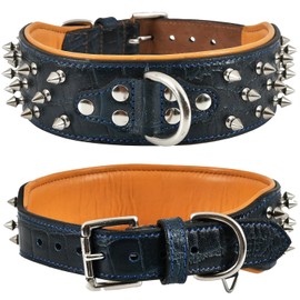 DowgClub Premium Genuine Leather Spike Dog Collar, Crocodile Pattern, Gator Design | Full Grain, Heavy Duty, Exotic, Distinguish, 2" Wide (Midnight Blue, L (Fit Neck 18.5"-22.5"))
