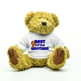 Best Little Brother Teddy Bear Gift, Present for A Favourite Brother, Sibling Gifts, Birthday Gift for Little Brother