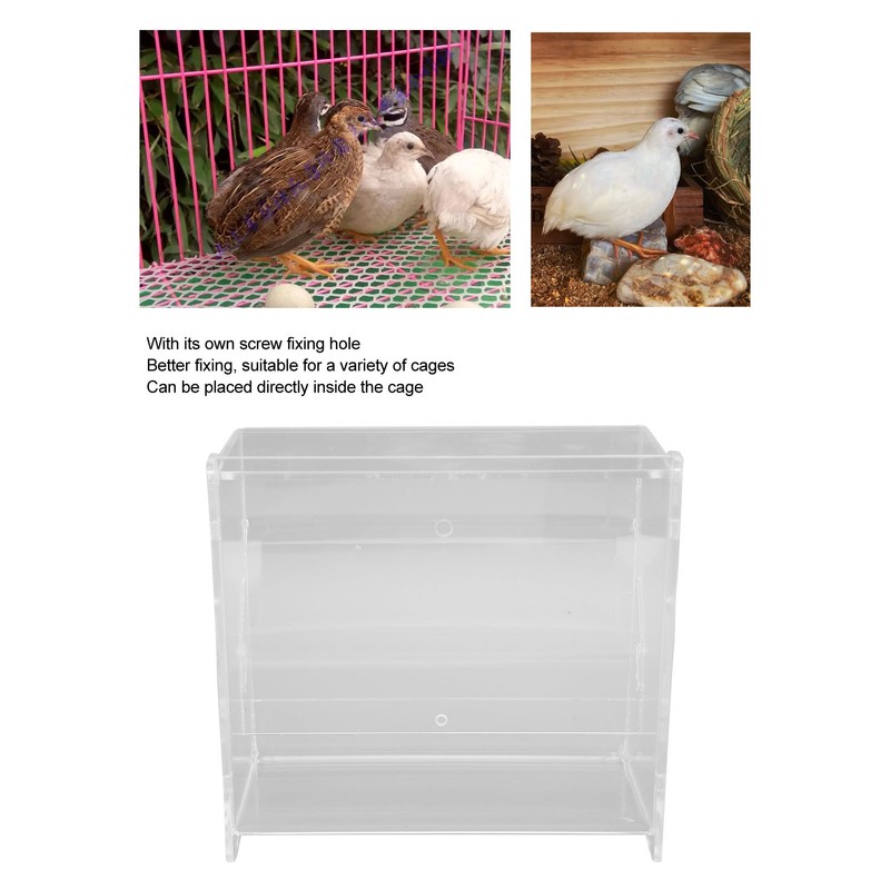 Rutin Chicken Feeder Automatic Clear Acrylic Bird Cage Feeder for