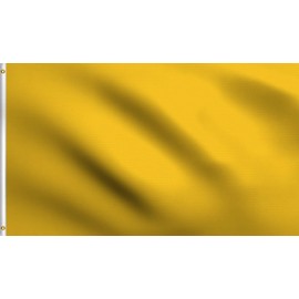 DMSE Solid Blank Flag 3X5 Ft Foot Flag UV Resistant (3x5 Polyester, Gold)