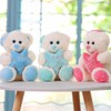 Soft Teddy Bear Stuffed Animal - Adorable Decorative Bear with
