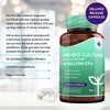 60 Billion CFU Probiotic Cultures (2 Packs of 60) -