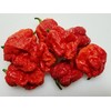 Skunk Red Hot Pepper 10+ Seeds