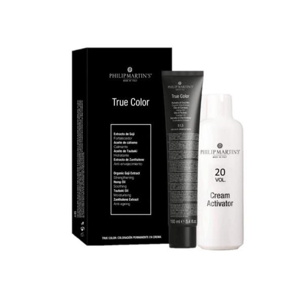 PHILIP MARTIN'S True color # 6.1 rubio oscuro ceniza