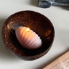 Coconut Bowl Set Leakage Proof Reusable Hand Polished Coconut Shell