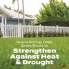 Scotts Turf Builder Bonus S Southern Weed & FeedF2 -