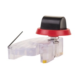 Flying Beetle Cutter by Delphi Glass