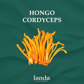 Landa Extracto Liquido Hongo Cordyceps Líquido Militaris 100 Orgánico Alta Concentración Aumenta Energía Soporte Respiratorio Propiedades
