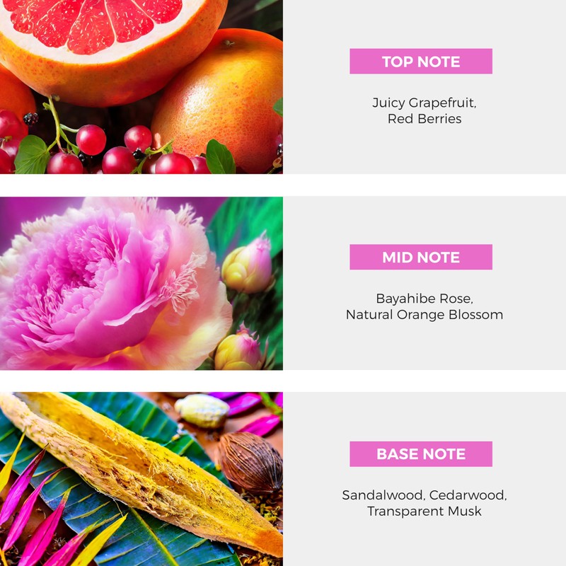 Nateeva Dominican Republic Bayahibe Rose EDP Perfume Spray - 100