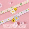 Cat Collars, Set of 2, Cat Collars, Safety Buckle with