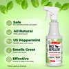 Mighty Mint Peppermint Oil Mouse Repellent Spray – Natural Indoor