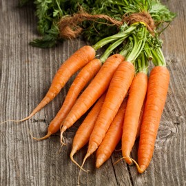 Carrot Seeds - Kuroda Long 8" - 0.25 Oz ~5,000 Seeds - Daucus carota VAR. sativus - Farm & Garden Vegetable Seeds - Non-GMO, Heirloom, Open Pollinated, Annual