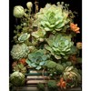 Succulent Plant Paint by Numbers for Adults-Succulent Plant Paint by