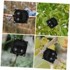 BESPORTBLE 6Pcs Plant Rooting Grafting Box Assisted Plant Rooting Devices