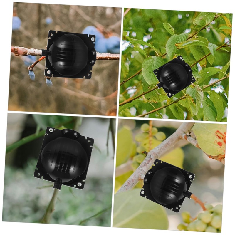 BESPORTBLE 6Pcs Plant Rooting Grafting Box Assisted Plant Rooting Devices