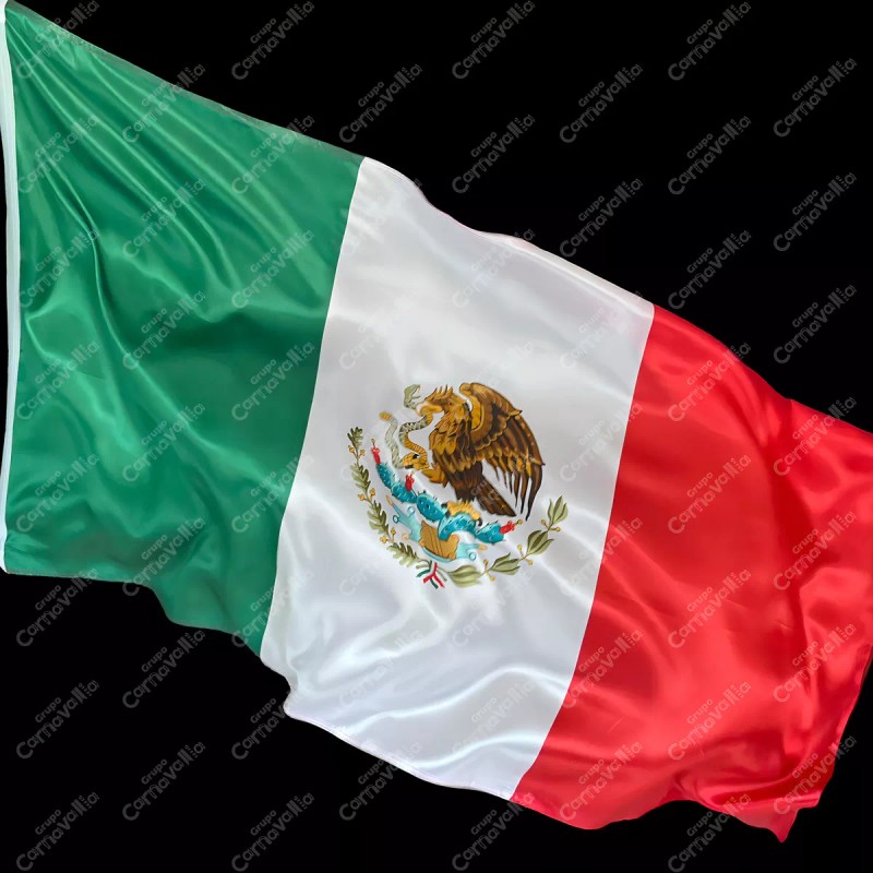 Bandera Grupo Carnavallia México Viva México Fiestas Patrias 150x90cm Satinada