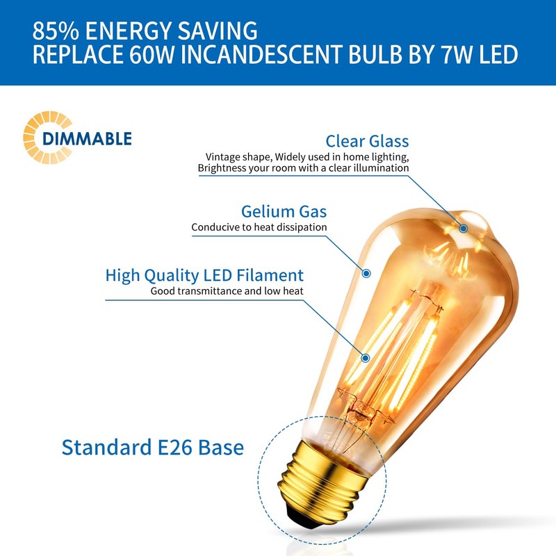 ANWIO Vintage Edison Light Bulb ST21 LED Filament Bulb 7W(60
