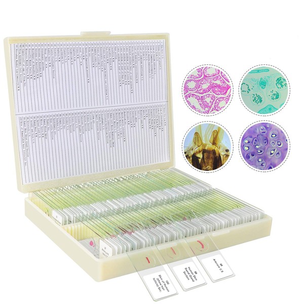 100P Microscope Slides with Biological Samples, Animals, Insects, Plants, Human
