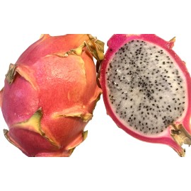 Cactus Dragon Fruit Seedling, Ship In 2 Inc Pot.