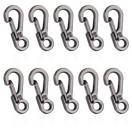 LAMXD Mini Carabiner Clip, Tiny Carabiners Set, Spring Snap Keyring Hook for Camping Traveling Hiking Keychains Outdoor
