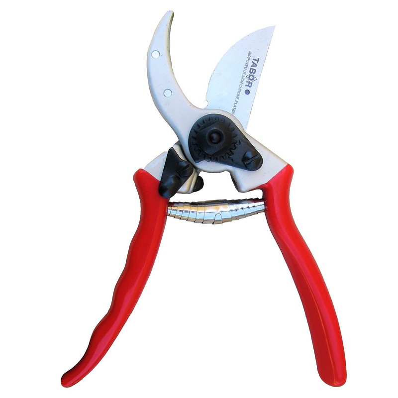 Ars Tiger T2, 4000 – 00 Scissors