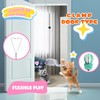 Cat Toys for Indoor Cats Set 5 pcs, Attractive Cat
