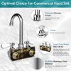 ZKDAUSDO 4 Inch Center Commercial Sink Faucet Wall Mount Kitchen