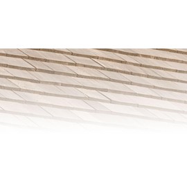 Simpson Strong Tie T610ARN1 6D Roofing Tile and Slating Nails 2-Inch and 10-Gauge, Ring Shank 316 Stainless Steel, 1-Pound, 105-Piece