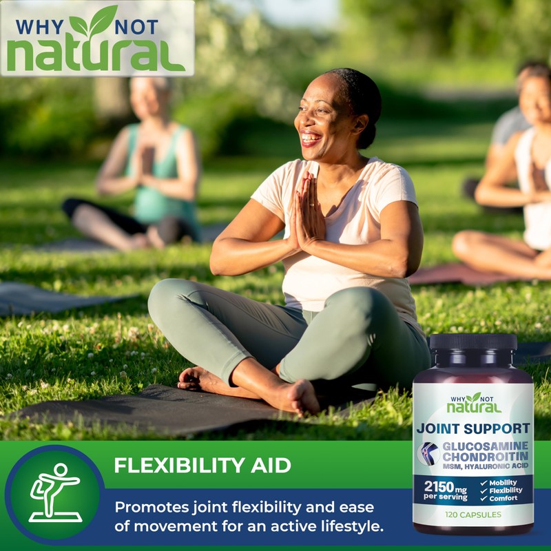 Why Not Natural Glucosamine Chondroitin, MSM, Joint Support Supplements -