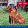 Water & Woods Reflective Dog Safety Vest by Coastal Pet