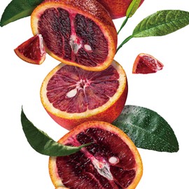 Moro Orange C3g Extract Powder Morosil Extract / 모로오렌지 c3g 추출분말 모로실 추출물
